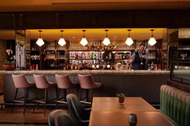 Cosy and relaxed hotel bar for drinks