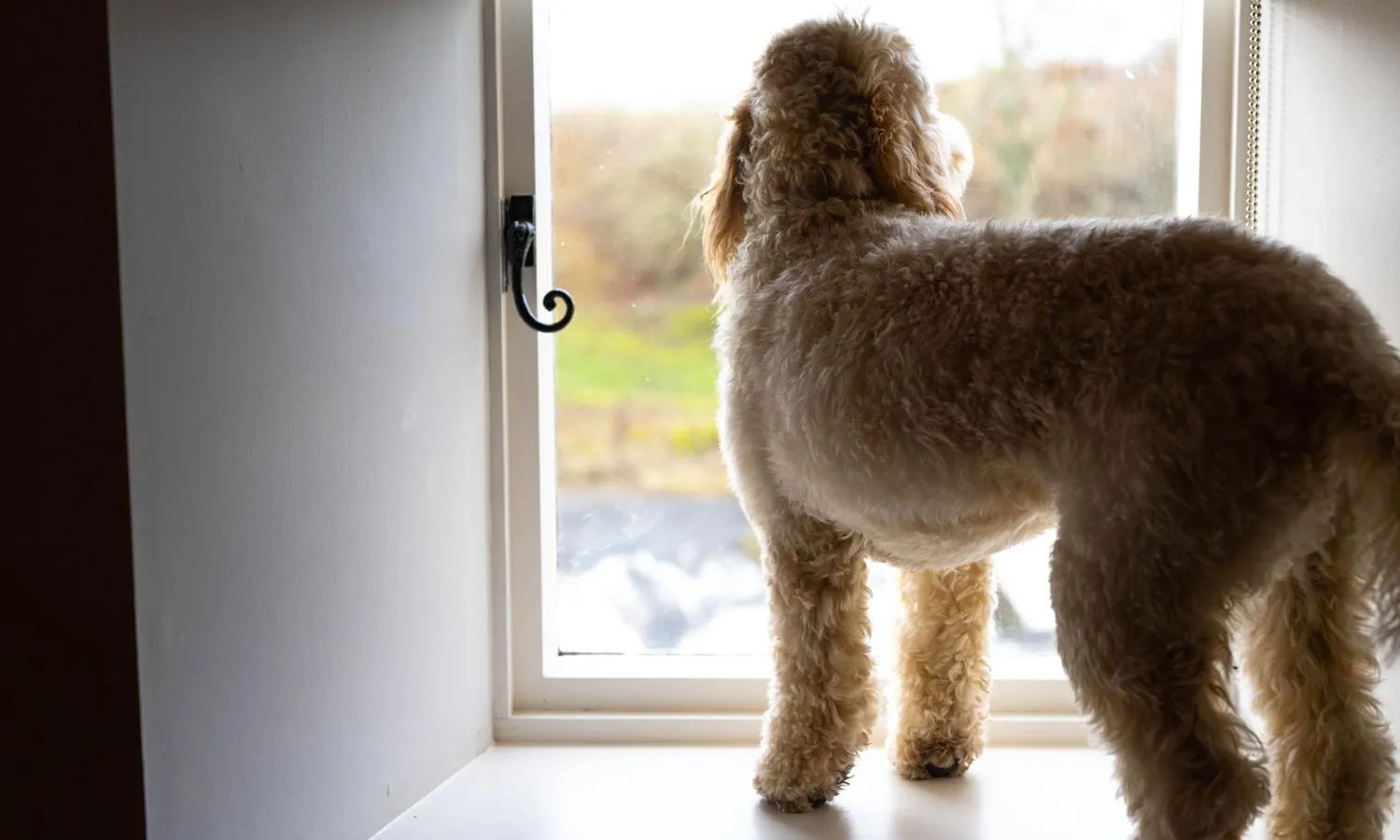 Suite  Kiln House  @ Forss House