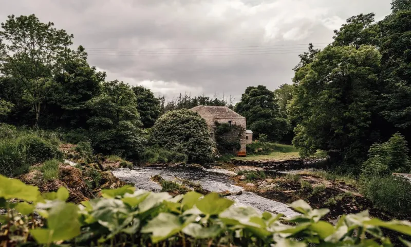 Suite  Mill House  @ Forss House