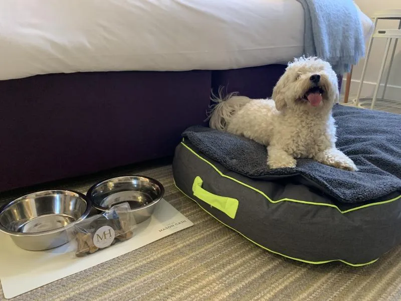 Pooch Friendly Executive Double @ Maids Head Hotel