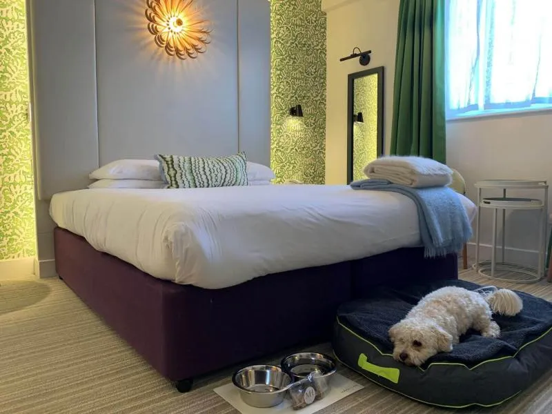 Pooch Friendly Executive Double @ Maids Head Hotel