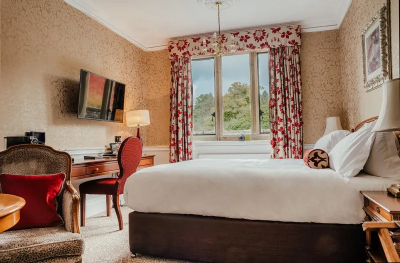 Comfy Room   1 King bed @ South Lodge Hotel