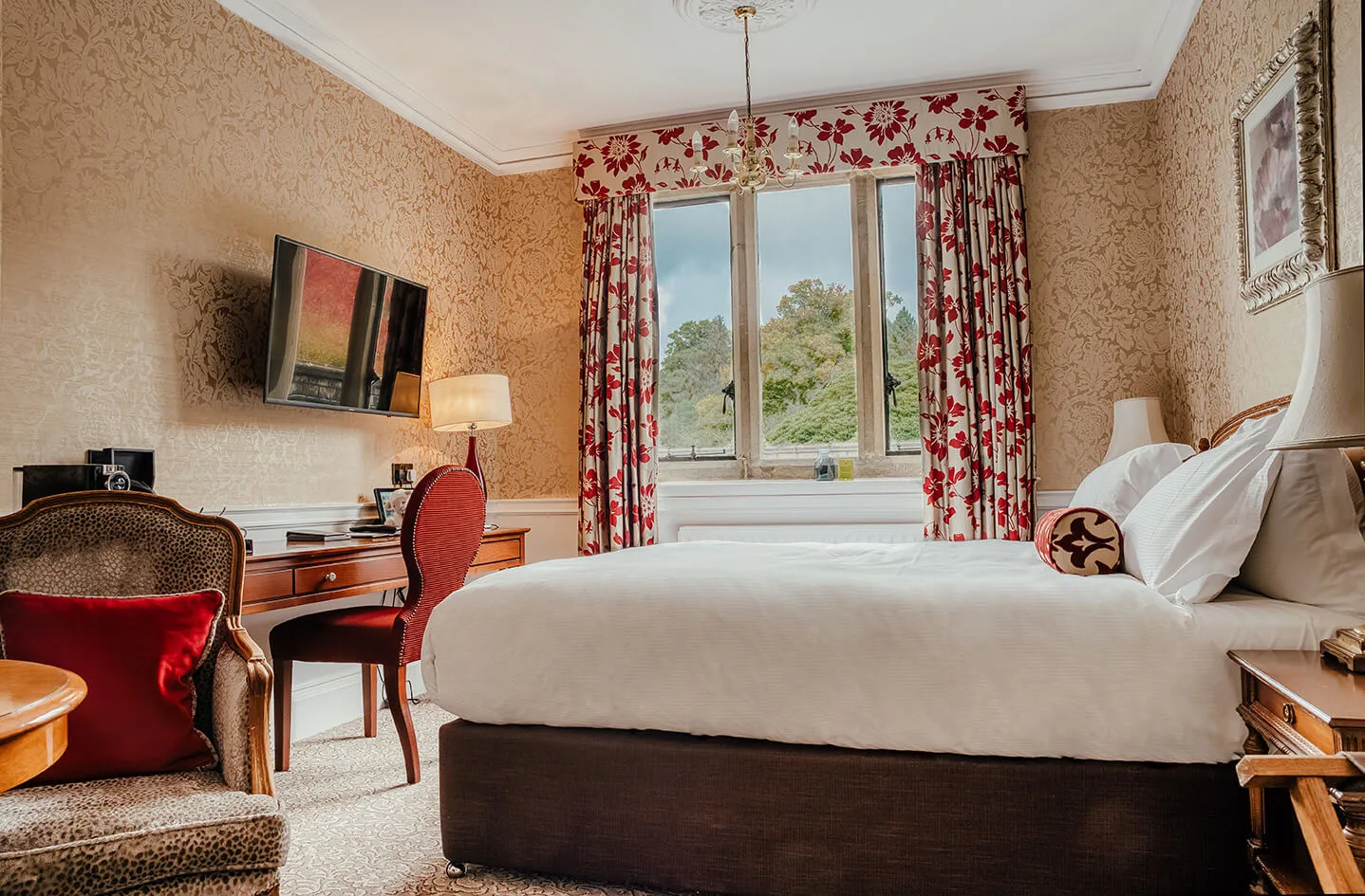 Comfy Room   1 King bed @ South Lodge Hotel