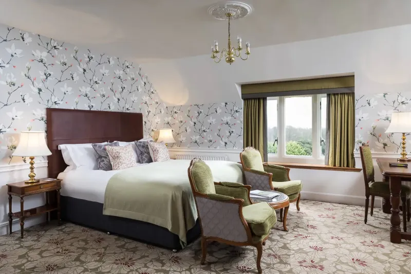 Comfy with View   1 King Bed @ South Lodge Hotel