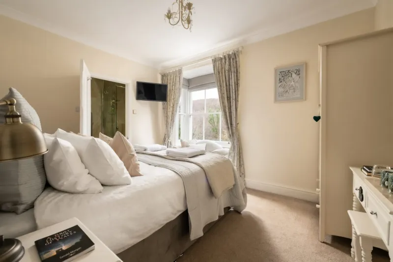 Iris   King Room with Walk in Shower @ Afon Rhaiadr Country House