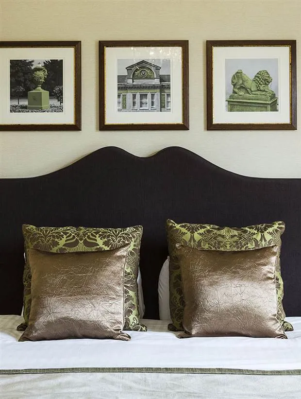 Executive Room @ Down Hall Hotel and Spa