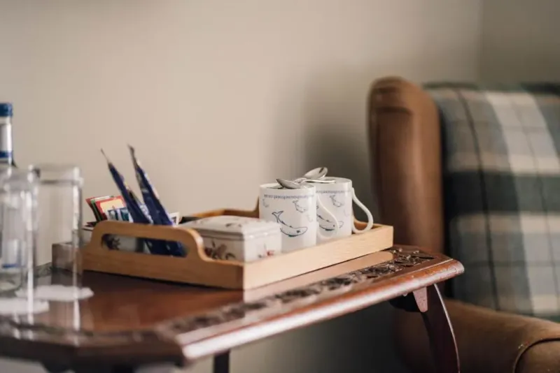 Deluxe River Twin  @ Forss House