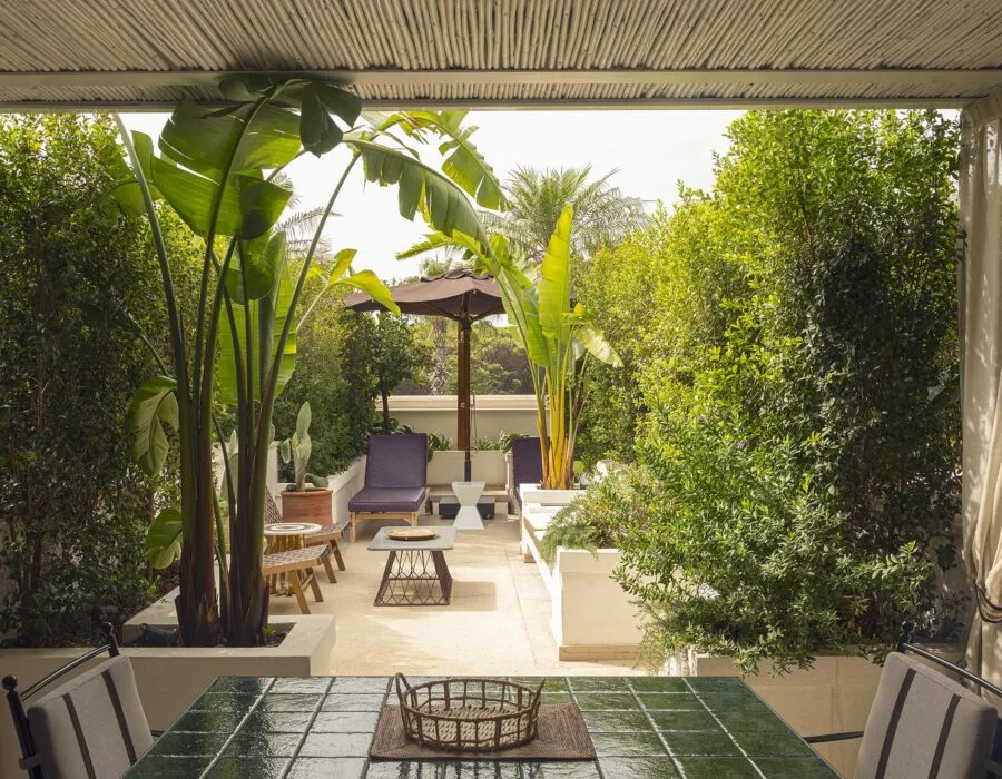 Terrace Junior Suite @ Savoy Hotel  amp  Spa