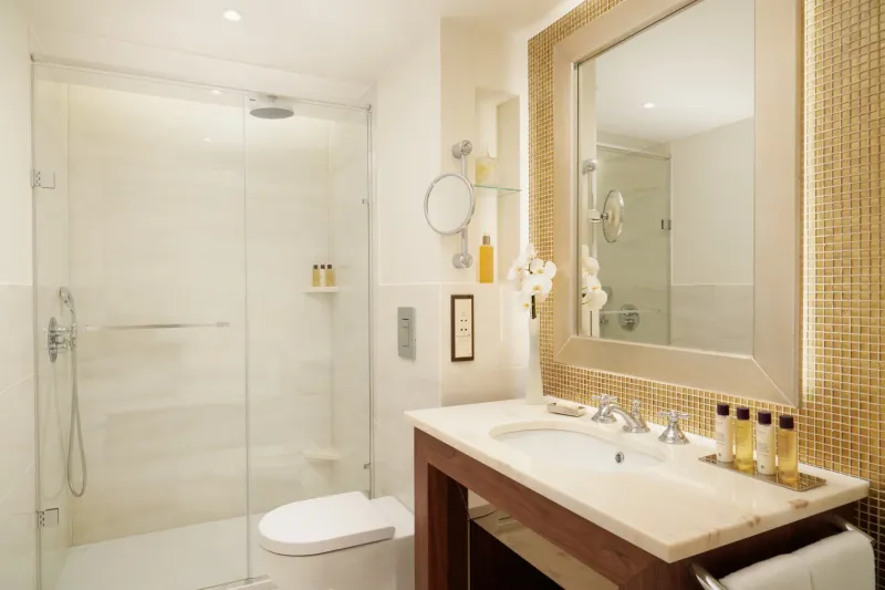 Junior Suite Park View bathroom