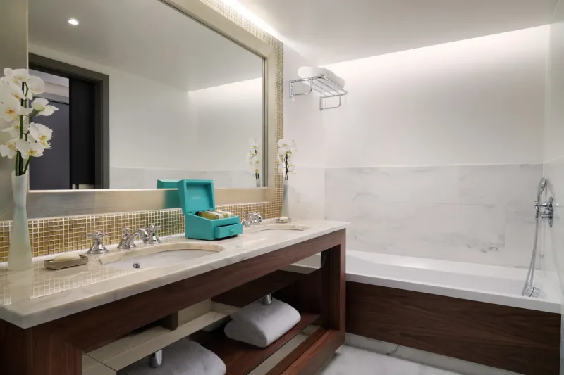 Deluxe Junior Suite bathroom